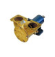Extra Heavy-Duty - Bronze Impeller pump F9B-3000-TSS pedestal mounted, F9 flange- 10-13177-01 - Johnson Pump